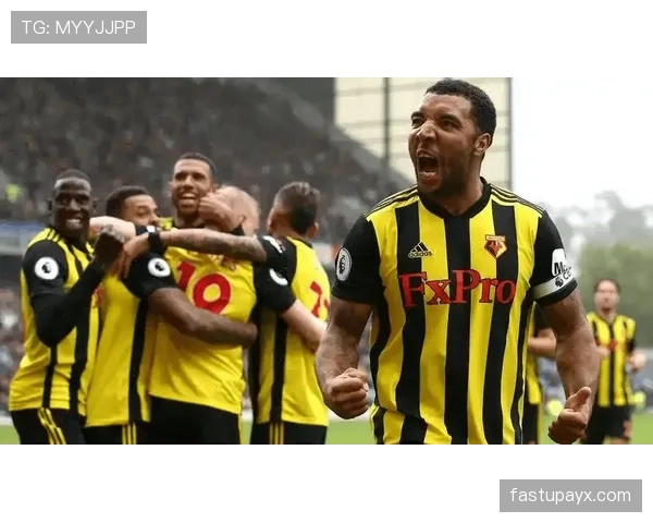 赫尔城主场连胜势头强劲，竞争力显著提升引关注